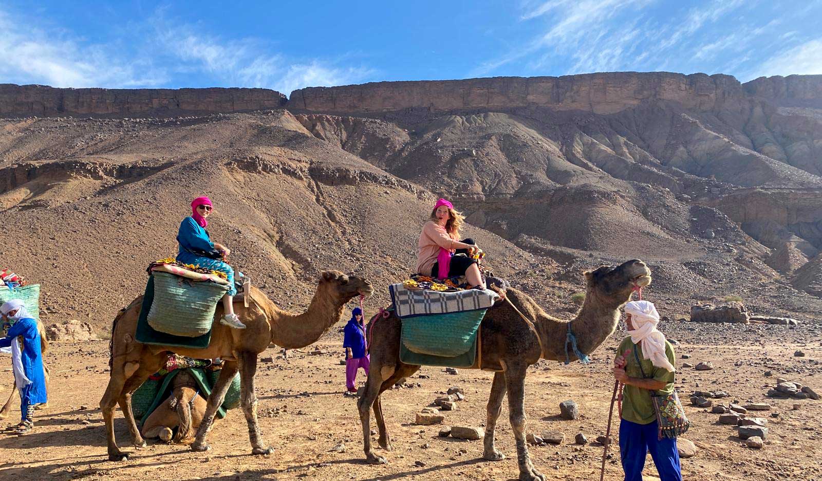 Camel desert tour Morocco