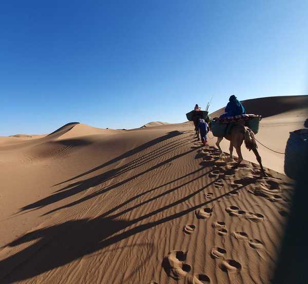 Camel caravan Sahara dunes Morocco