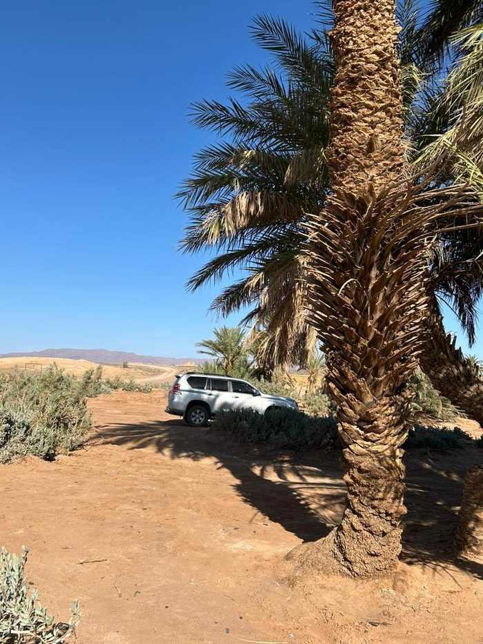 Private driver service Morocco